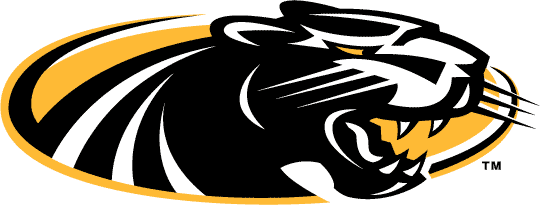 Wisconsin-Milwaukee Panthers 2002-2010 Alternate Logo diy iron on heat transfer